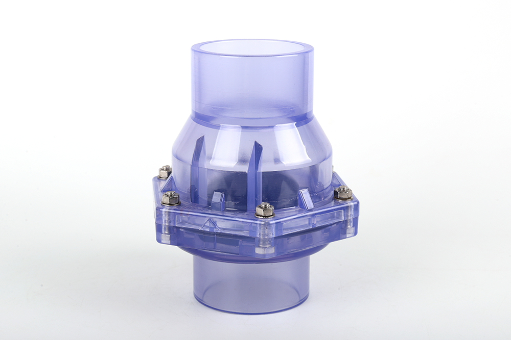 清河透明翻板式止回阀